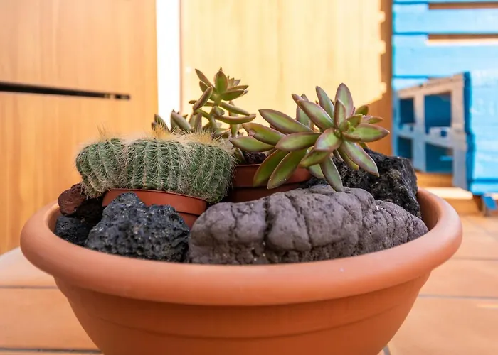 Appartement Medano4you Stellas Penthouse